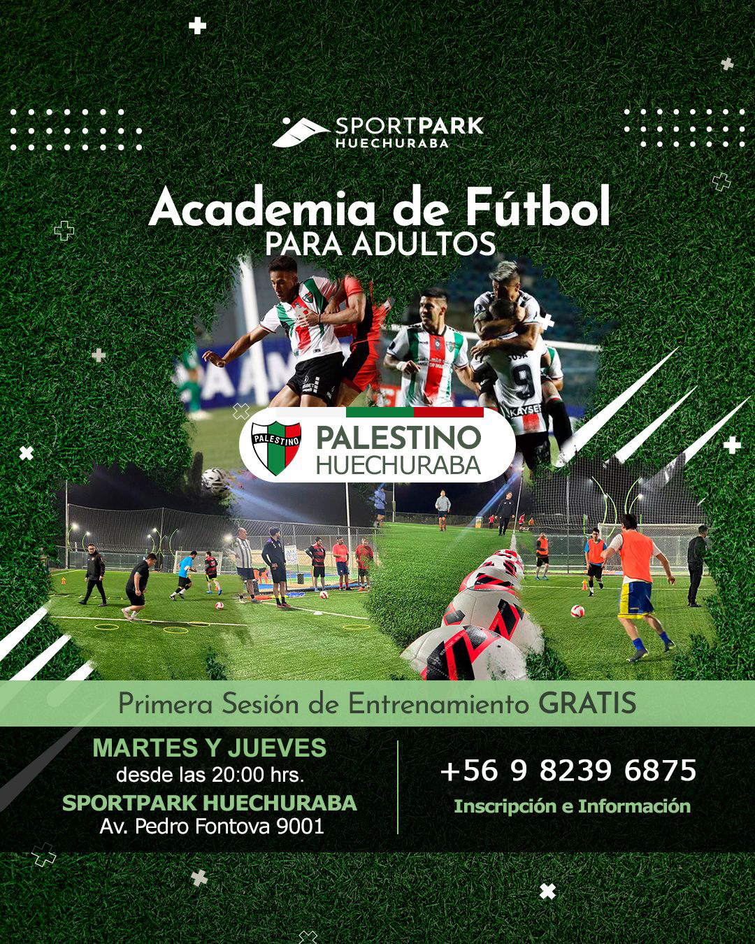 palestino-adultos2