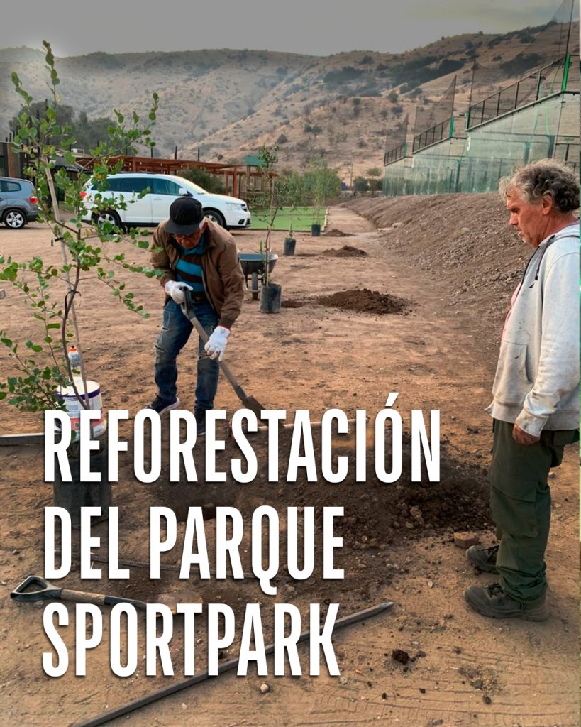 REFORESTACION_03