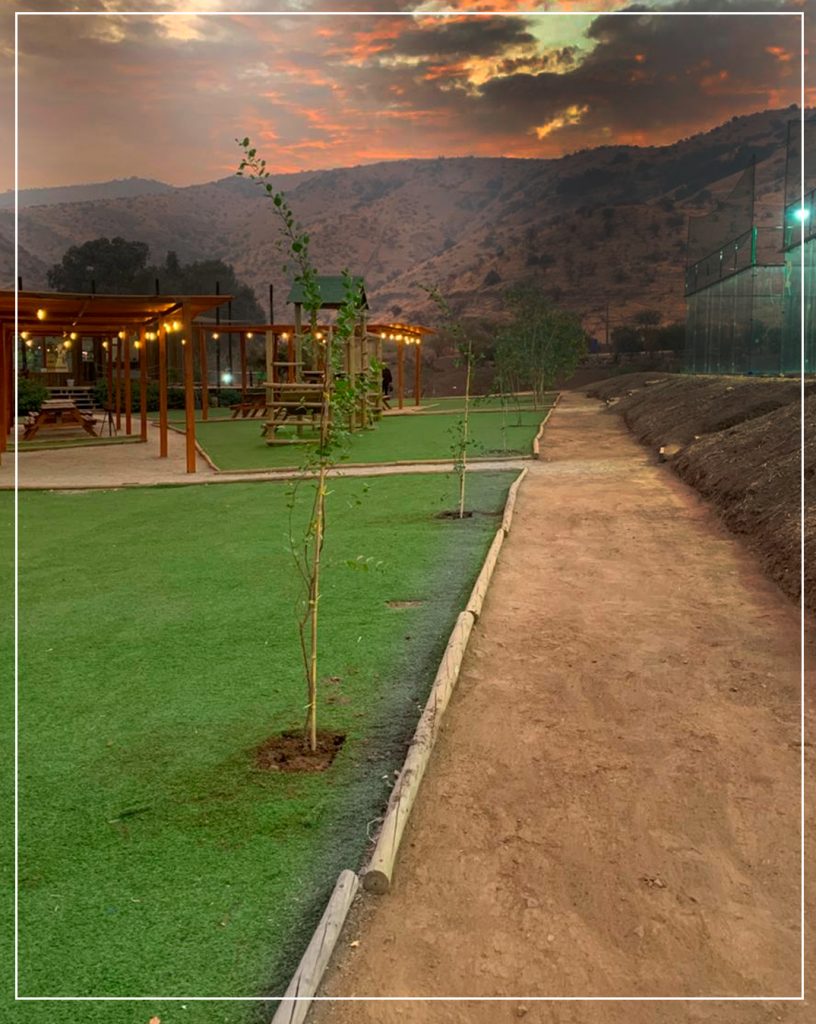 REFORESTACION_06