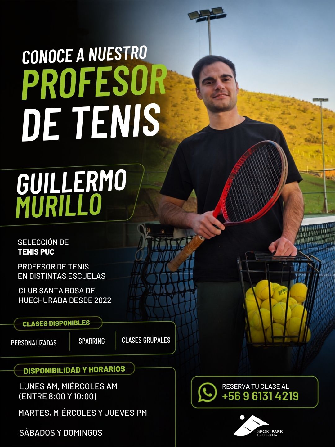 profe guillermo